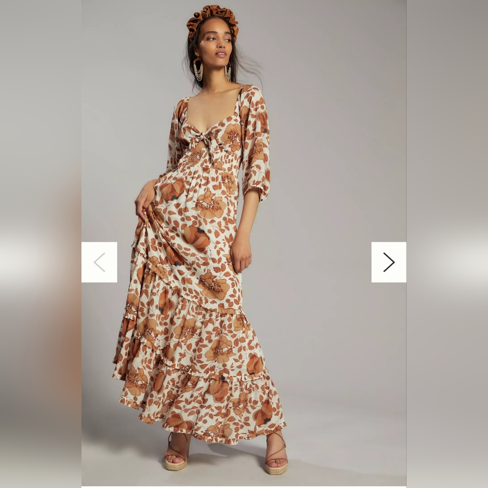 Anthropologie Cream and Brown Floral Maxi Dress